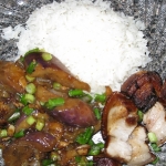 20090410-plated-pork-and-eggplant.jpg