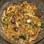 20090411-dirtyfriedrice.jpg